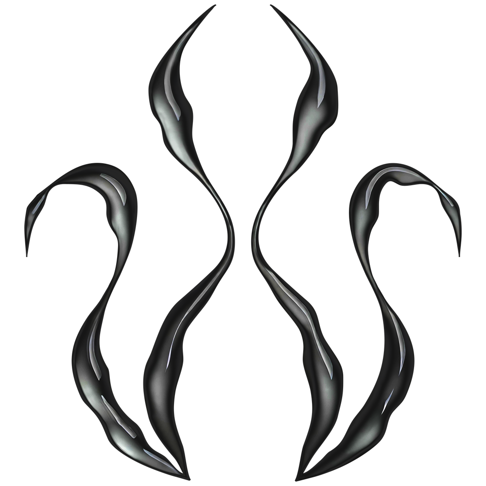 2XS